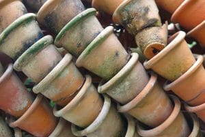 Vastzittende bloempotten - Hoe voorkom ik dat bloempotten vast komen te zitten?