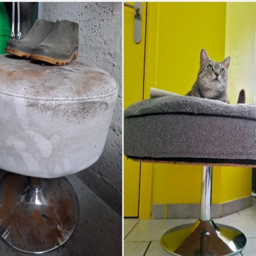 Mon trône douillet